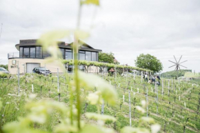 Weinhotel Maitz Wolfgang, Ratsch An Der Weinstraße, Österreich, Ratsch An Der Weinstraße, Österreich